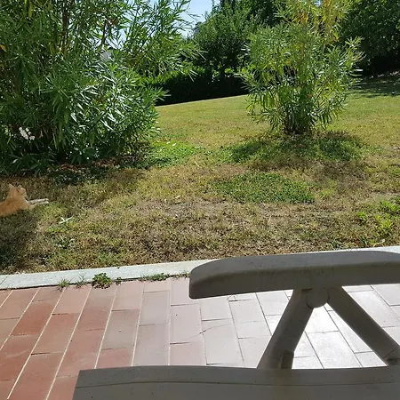 Inside Paradise