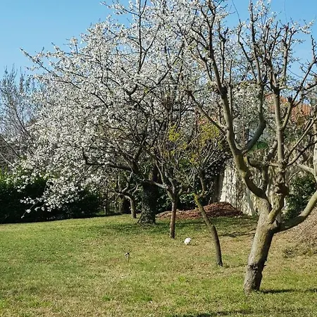 فندق مبيت وإفطار Inside Paradise Pino Torinese